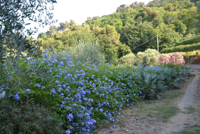 CASA __ VILLETTA — con terreno.